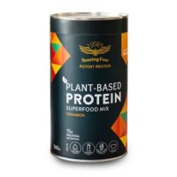 Plant Based Protein Cinnamon
